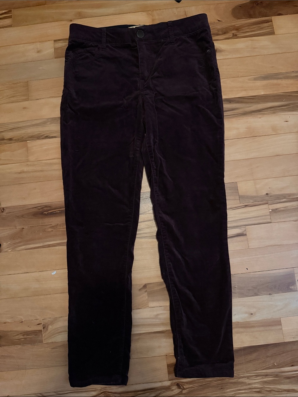 Democracy Velvet Pants in Dark Plum
